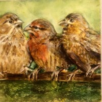 3birds