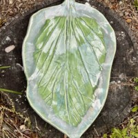 nature shape of a leaf in ceramic