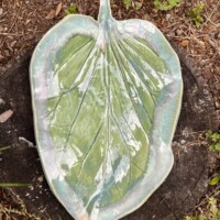 nature shape of a leaf in ceramic