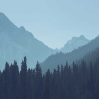 qi-bin-w4hbafegiac-unsplash